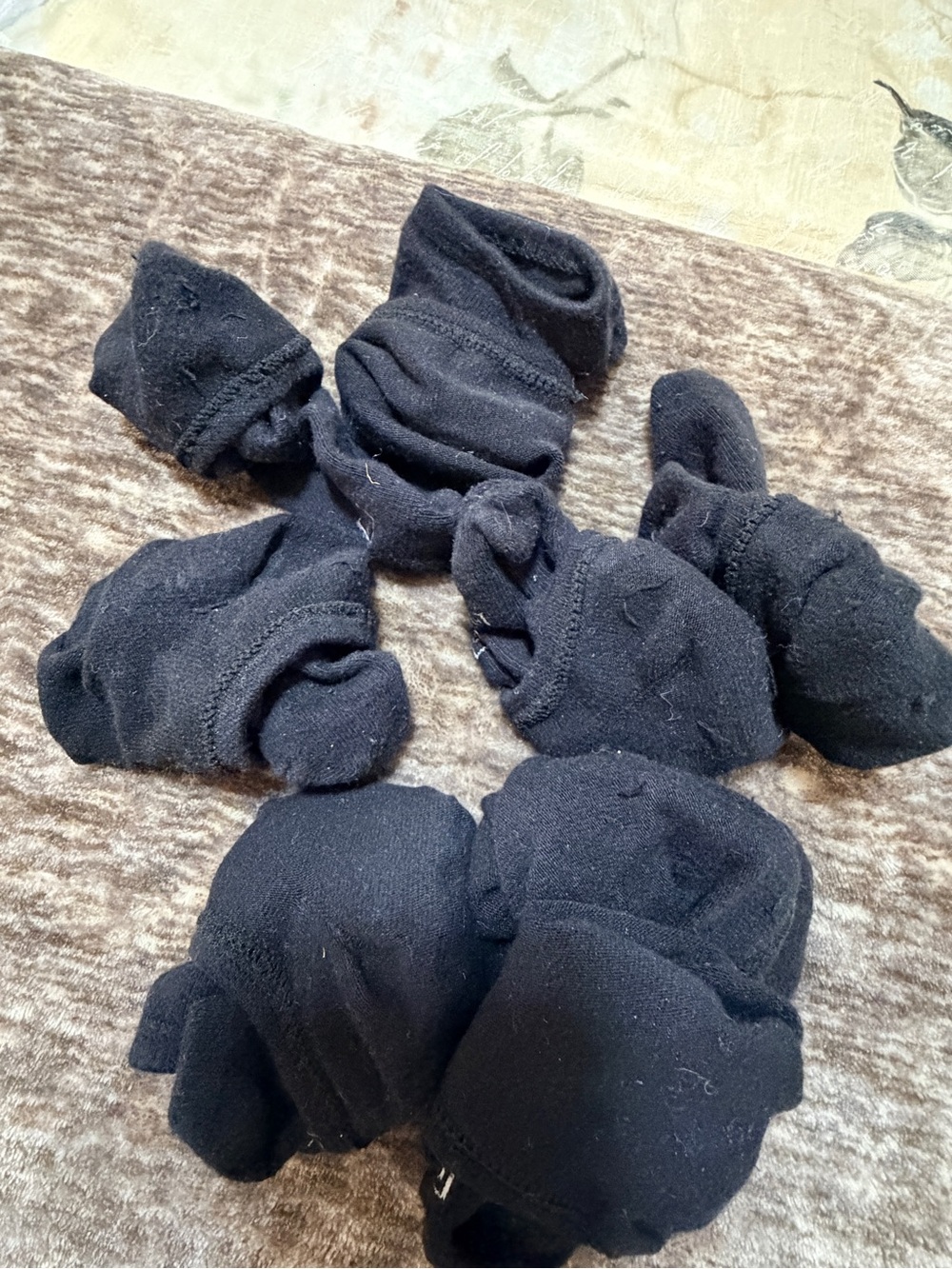 Women's Black Athletic No-Show Socks - 6-Pack